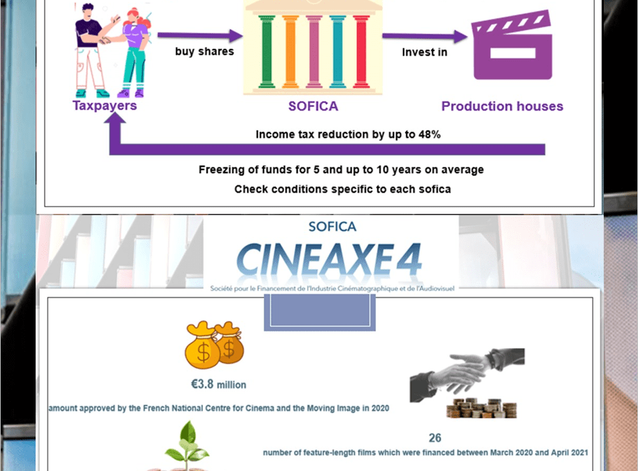 FINANCING BY SOFICAS IN FRANCE